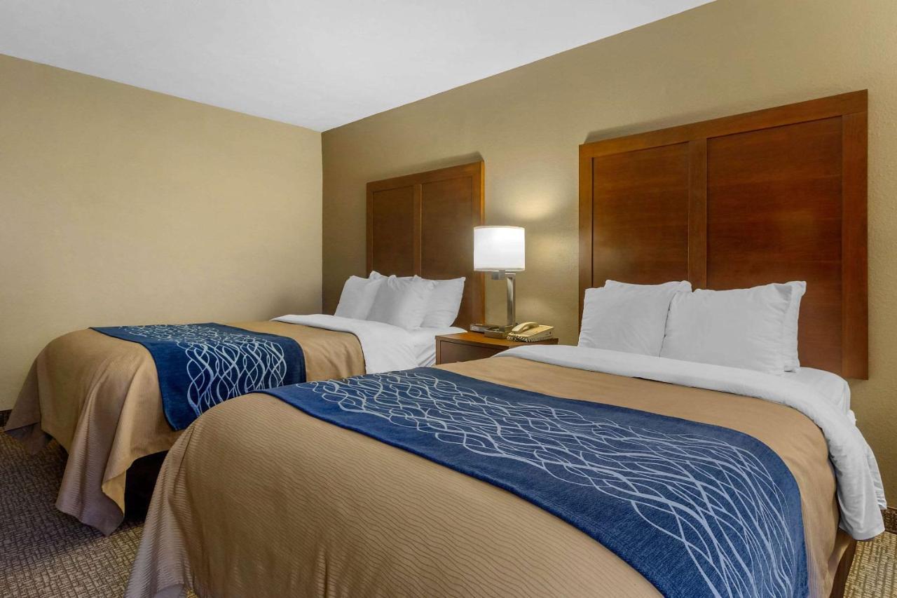 Comfort Inn בריסטול מראה חיצוני תמונה
